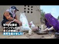 国連wfp　パキスタン