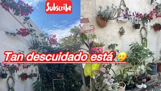 Continuó arreglando mi jardín 🪴 ahora le tocó la parte delantera ☺️#suscribe