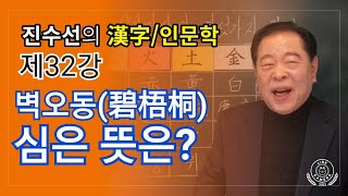 [한자/인문학/전통풍속/특강] 벽오동(碧梧桐)심은 뜻은?