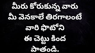 love vasikaranamమీరు కోరుకున్న వారుమీ వెనకాలే తిరగాలంటేవారి ఫొటోనిఈ చెట్టు కిందపాతండి.