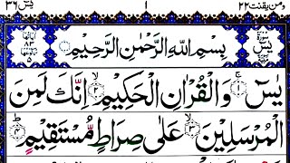 036 Surah Yasin Fast Recitation Full With Arabic HD Text | Learn Quran With Tajweed