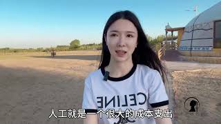 内蒙女汉子被曝欺骗粉丝!深入草原腹地建百万蒙古包,一晚只要98？