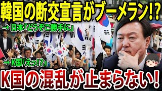 【ゆっくり解説】韓国の断交宣言がブーメラン！？日本人の7割『むしろ願ってた！』K国の反応がヤバい！【海外の反応】