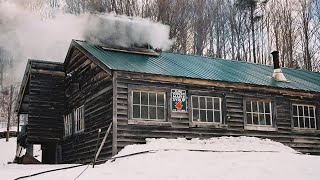 Maple Season 2025 is Getting Underway in Vermont