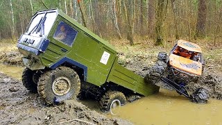 RC #Trucks #Mudding 4x4 VS 6x6 Scale #OFFRoad | THE BEAST #RC4WD MAN Truck, #Axial Wraith