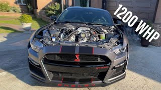 1200 WHP 2020 SHELBY GT500 BUILD!