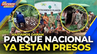 HAITIANOS DAÑAN PARQUE NACIONAL Y YA ESTAN PRESOS