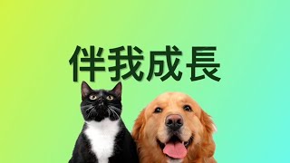 【伴我成長】Growing Up with Me 粵語詩歌 Cantonese hymn #基督教詩歌精選