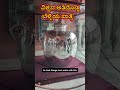 ವಿಶ್ವದ ಅತಿ ದೊಡ್ಡ ಬೆಳ್ಳಿಯ ಪಾತ್ರೆ world s largest silver vessel viralvideo shorts youtubeshorts