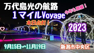 2023年9月15日 万代島光の航路１マイルVoyage 今年も豪華に点灯 少し早く開催！新潟市中央区