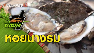 หอยนางรม : ภัตตาคารบ้านทุ่ง