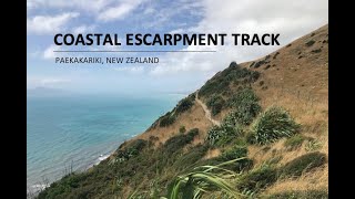 20km Stairway to Heaven | Paekakariki Escarpment Track, New Zealand