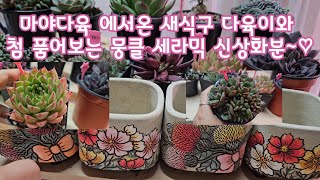 마야다육 에서온 새식구 다육이와 드뎌 첨 품어본 기대만땅 뭉클 세라믹 수제화분 소개해요 ~~🌸 넘사벽 이네요~~♡😆