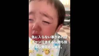 イヤイヤ期に突入した虎之助。1歳5ヶ月。#shorts #baby #あかちゃん