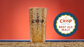 Crisp Malt - Best Ale Malt - Malt Tasting Video