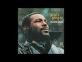 marvin gaye inner city blues make me wanna holler