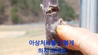 아상처리 이렇게 하지마세요