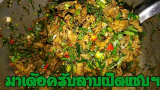 กินข้าวแลงนำกันครับ ลาบเป็ดแซบฯพี่น้องผม28ก.ค63 #ลาบ #เป็ด #ข้าว ฮอยดินถิ่นอีสาน