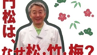 門松には「松竹梅」が使われる理由