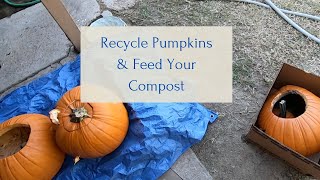 Recycle Pumpkins & Feed Your Compost
