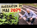 Aussaaten im Mai 2024 - trotz schwierigem Wetter! Viele Aussaaten für den Gemüsegarten.