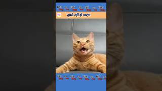 Tumse Nehi Ho Payega 🤪 | Funny Animals