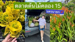 ช้อปปิ้งเดย์ #ตลาดต้นไม้คลอง15 #ต้นไม้ #ไม้มงคล #ตลาดต้นไม้ไก่คู่คลอง13