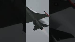 これが本来のF-16！空中戦に特化した軽戦闘機として生まれたF-16Aの機敏なデモ！