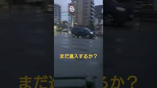 【修羅】赤信号🚥は無視するわ、交差点内で停車🚙した挙句、青信号🚥の横断歩道を横切るわ🙎‍♂🚙で、はちゃめちゃです #信号無視 #道交法違反