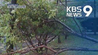 신속하고 생생하게…시청자 제보 봇물 / KBS뉴스(News)