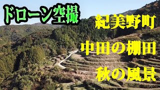 紀美野町　中田の棚田再生プロジェクト　ドローン空撮　秋の風景2020年11月