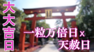 【最強開運日】一粒万倍日ｘ天赦日※今日は大大吉日！動画を見てから宝くじを買いましょう｜越前国一の宮氣比神宮遠隔参拝171