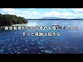 これを習慣化すると奇跡が次々と起こります！時間がないと言わずにやってみて！【cocoro platinum】