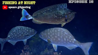 Kakap lodi (Kyphosus vaigiensis) NIGHT SPEARFISHING || EPISODE 19