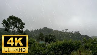 10 Hours of Gentle Rain to Sleep and Relax | Beat Insomnia and Relax with Nature Sounds