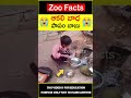 😭ఆకలి బాధ😭 small boy without food amazingfacts zoofacts shorts