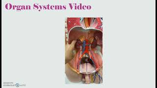 Laboratory Exercise Two
