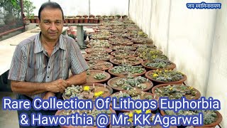 Lithops Euphorbia And Haworthia Collection of Mr. KK Agarwal On His Roof Top Garden