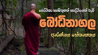 බෝධිනා සෘෂිවරයා සෘද්ධියෙන් වැඩි  බෝධිනාගල ආරණ්‍යය සේනාසනය | Bodhinagala Aranya Senasanaya