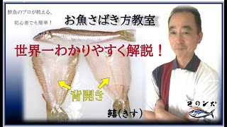 【キス(鱚)のさばき方】世界一わかりやすい!初心者用[背開き、天ぷら用] by鮮魚店 きのした生魚店(広島県東広島市西条) キスゴ 2021 How to fillet garfish