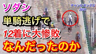 【チャンピオンズカップ2021】ソダシが単騎逃げして12着に惨敗…何が敗因だったのか？