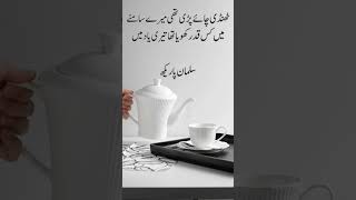 Urdu Poetry - Teri Yaad #urdupoetry #urdusadpoetry #urdustatus #urdushayari #urdu