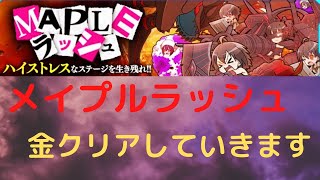 【防振りうぉーず】メイプルラッシュを金クリアします！