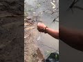 ស្មាត់ធំចេញស្ទួចហើយ😂 fishing twolessfishinthesea