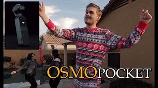 The Honest Truth. DJI Osmo Pocket Conclusion.