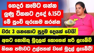 ගෙදර කෑමට ගන්න ලුණු ටිකකට උදේ 6.15ට මේ පුංචි ගුරුකම කරල බලන්න | හිතන පමාවට උල්පතක් වගේ මුදල් ලැබේවී!