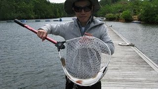 Fly fishing to start in Kyoto　Arashiyama