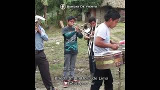 La Banda Santa Rosa de Lima de Ixcatepec Ver.