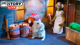 Hamster survived 24 hours in Granny's Scary House 🐹 Homura Ham Pets