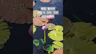 매일 들어라 반드시 모든 것은 치유되리라 불교 신자 부처 스님 소원 성취 기도